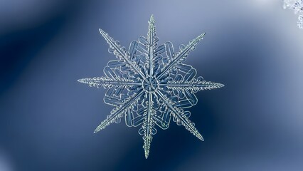 Macro photograph of a single, intricate snowflake with six symmetrical arms against a soft blue background