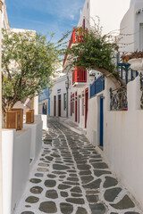 Fototapeta premium Streets of Mykonos 
