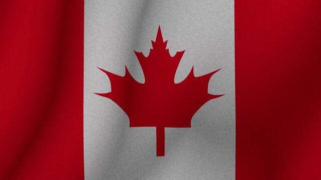 The flag of the flag of Canada. The flag of Canada flag in 3d format. 1080p HD animation for presentation