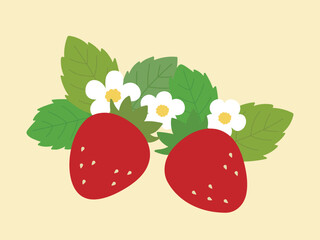 Illustration of ripe strawberry fruit with green leaves and white flowers. Sweet flat vector illustration perfect for organic food labels, spring and summer cooking recipes, and kitchen decor design.