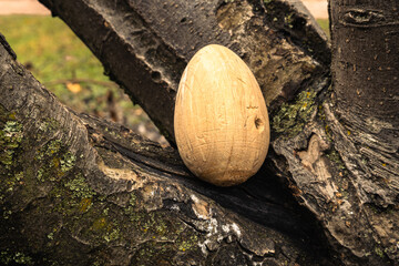 Wooden egg rests on rough tree trunk. Lichen and bark textures visible around object.
