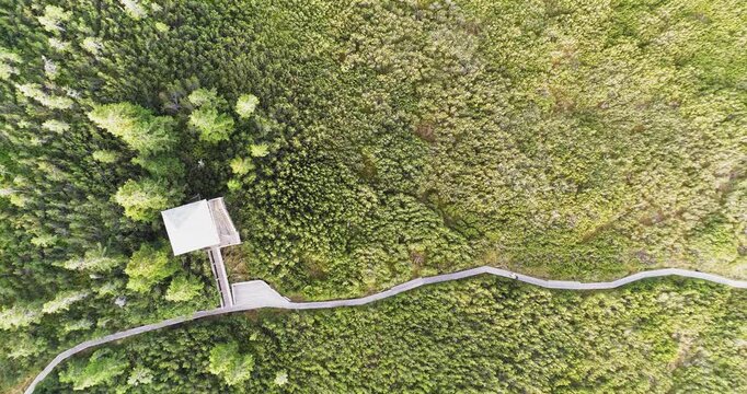 Small hut and boardwalk in peat bog aerial view
