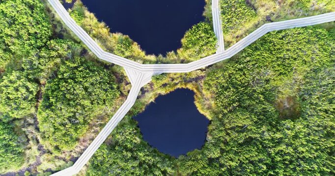 Boardwalk junction over peat bog lake aerial view