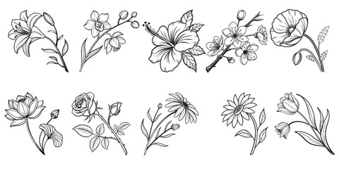 Flowers Editable Stroke Outline Icon Set &ndash; Isolated Flat Vector Illustration