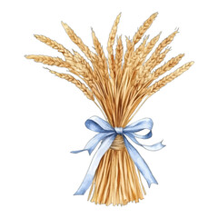 Obraz premium Watercolor Illustration of a Wheat Stalks Bundle Tied with a Blue Ribbon 