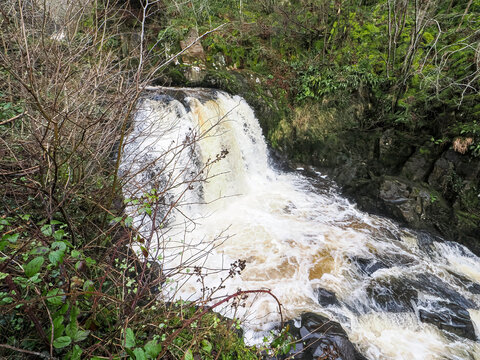 Ingleton Waterfalls Trail, Yorkshire &ndash; Scenic Forest Waterfall Landscape