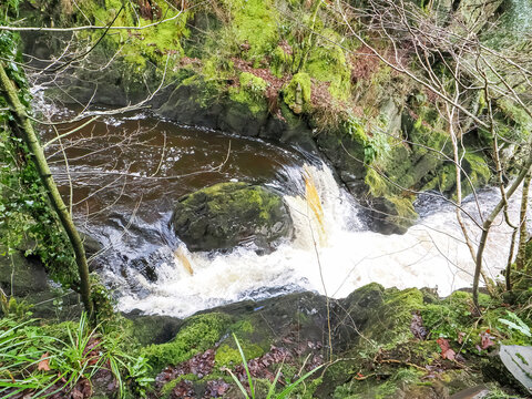 Ingleton Waterfalls Trail, Yorkshire &ndash; Scenic Forest Waterfall Landscape