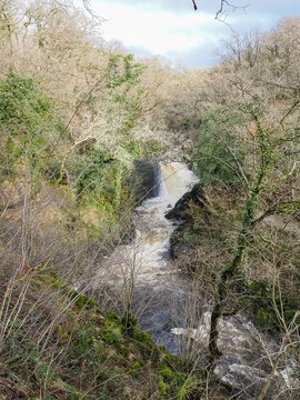 Ingleton Waterfalls Trail, Yorkshire &ndash; Scenic Forest Waterfall Landscape