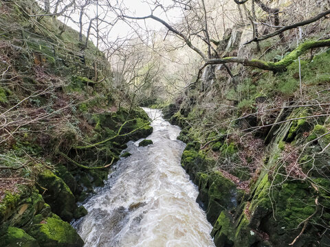 Ingleton Waterfalls Trail, Yorkshire &ndash; Scenic Forest Waterfall Landscape