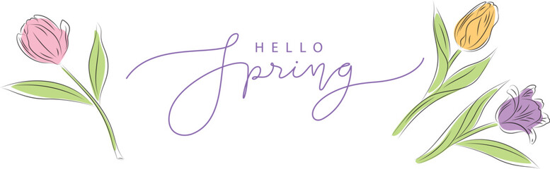 hello spring lettering with tulips, isolated vector illustration, hand drawn design element for greeting cards, poster, banner, background,invitation