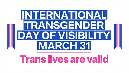 The combination of contrasting stripes and text interprets the International Transgender Visible Day as "Trans lives are valid", suitable for modern style public welfare promotion materials.
