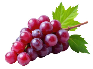 Fototapeta premium Fresh grapes, suitable for food or wine photography