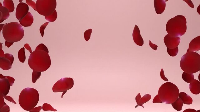 Falling red rose petals against a pastel pink background. Slow motion floral border with center copy space. Romantic love concept