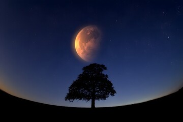 A stunning red moon rising behind a tall lone tree silhouetted against a starry night sky