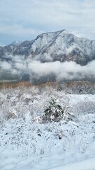 아름다운 눈 덮인 겨울 산
