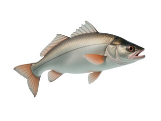Fototapeta premium A fish suspended in the air, no water in sight