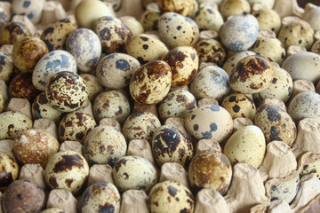 Obraz premium A pile of fresh quail eggs with distinctive brown spots on a cardboard container