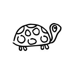 turtle sketch on a white background