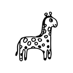 giraffe sketch on a white background