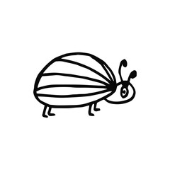 Beetle sketch isolated on white background