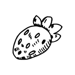 Strawberry linear sketch on a white background