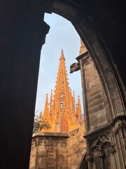 Cathedral of Barcelona 