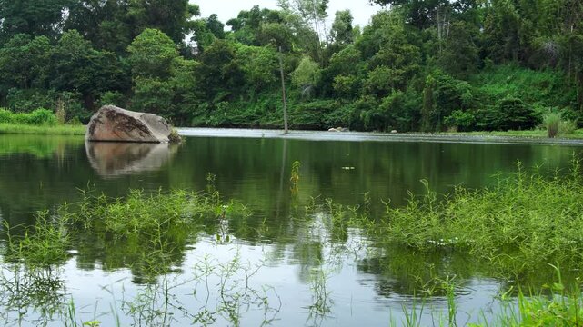 Panning view of Lake Ranu Manduro featuring a massive boulder rock sitting in calm water. Scenic tropical nature landscape with lush greenery in Mojokerto, East Java, Indonesia.