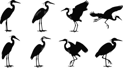 Fototapeta premium Heron crane silhouettes collection wading birds isolated black vector wildlife wetland nature illustration set
