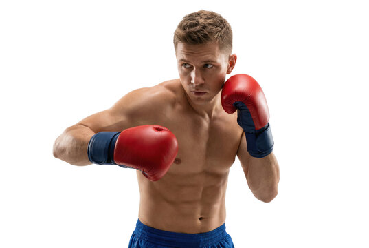 Muscular shirtless male boxer in red and blue boxing gloves, guard stance, Isolated on transparent background, png