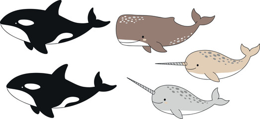 Cute whale and narwhal illustration set with orca and arctic sea mammals, minimal marine animal collection for kids education and ocean themed flat vector designs © Mostafijur