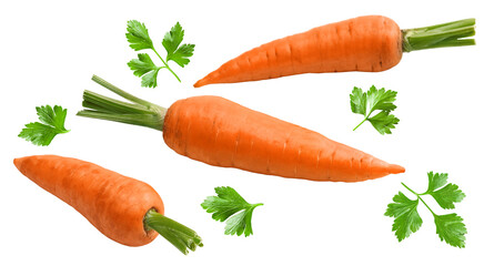 carrot isolated on white background. clipping path