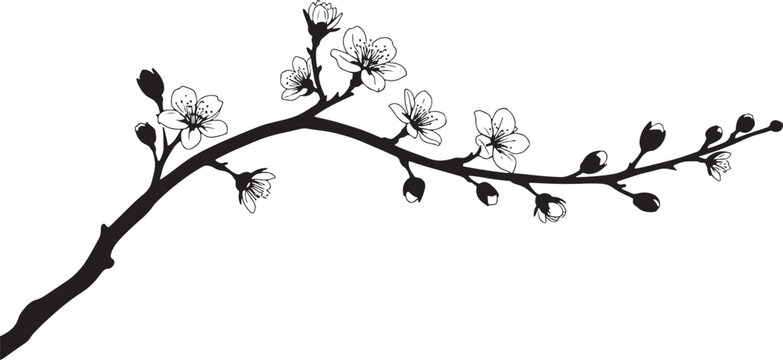 Simple black and white cherry blossom branch illustration art