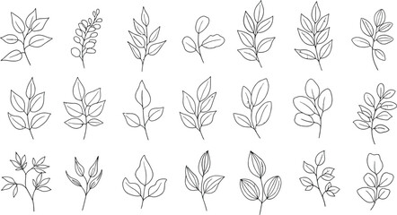 Collection of 18th century style botanical illustrations of various leafy plants