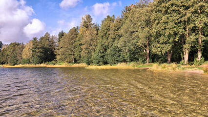 Lake Zawiad shore. Kashubia northern Poland.