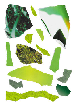 Torn Paper from Magazines Ripped Effect Green Hue Various Pieces Multiple Set