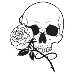Stylized Skull and Rose Line Art Illustration