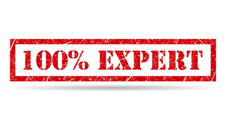 Expert 100% stamp shadow symbol, label sticker sign button, text banner vector illustration .