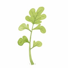 Fresh green arugula plant with vibrant leaves in natural setting