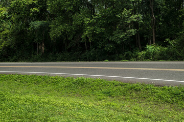 Side view of asphalt road with forest