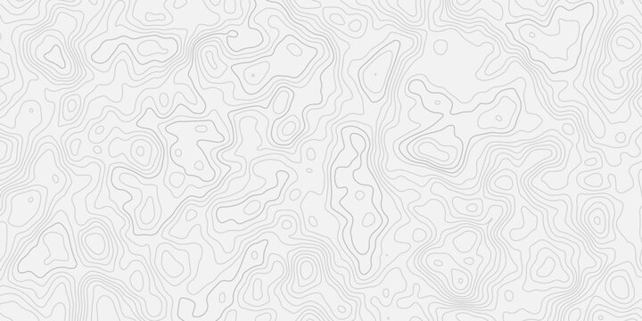 Modern abstract contour line terrain map seamless background texture.
Minimal white relief wave topographic pattern design.