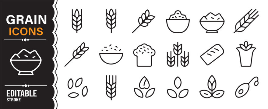 Wheat, rice, and agricultural crop outline icon collection