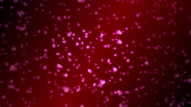 Pink heart shapes being lit up and falling down on dark red gradient background. Abstract background for Happy Valentine's day and wedding ceremony.