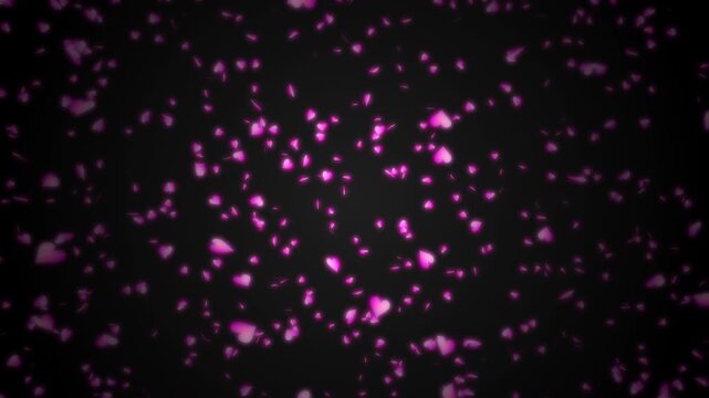 Pink heart shapes being lit up and falling down on black background. Abstract background for Happy Valentine's day and wedding ceremony.