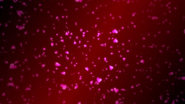 Pink heart shapes being lit up and falling down on dark red gradient background. Abstract background for Happy Valentine's day and wedding ceremony.