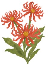 งานศิลปะที่ไม่มีชื่อ