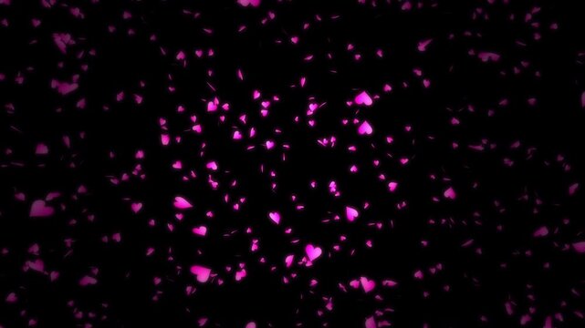 Pink heart shapes being lit up and falling down on black background. Abstract background for Happy Valentine's day and wedding ceremony.