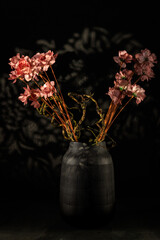 Elegant Flower Composition with Shadow Play