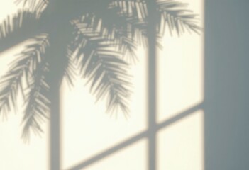 Soft Shadows of Palm Leaves Against a Light Wall