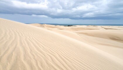 Expansive Desert Dunes Meeting The