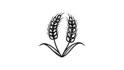 Fototapeta premium Organic Wheat Ears Icon Representing Agriculture and Harvest on Isolated White Background